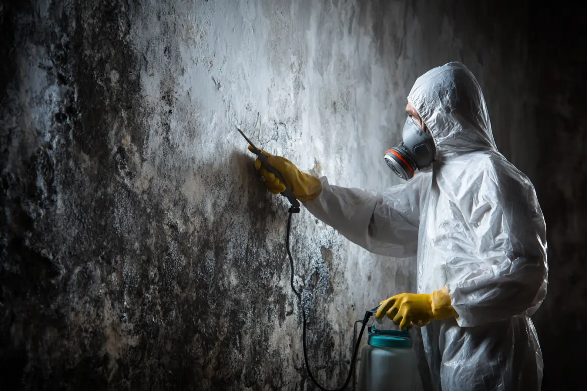 North Palm Beach mold removal
