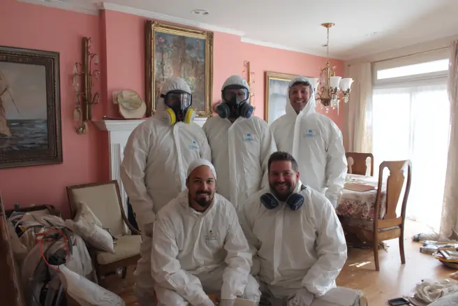 about us Jupiter Mold Removal